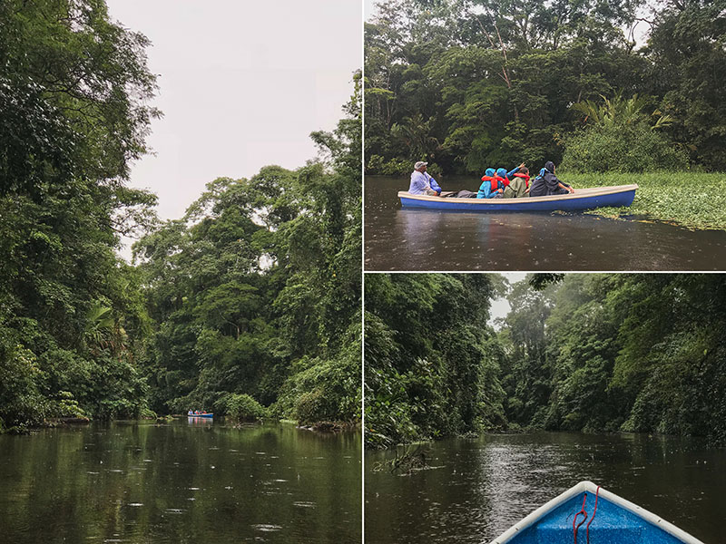 Canales de Tortuguero en Costa Rica
