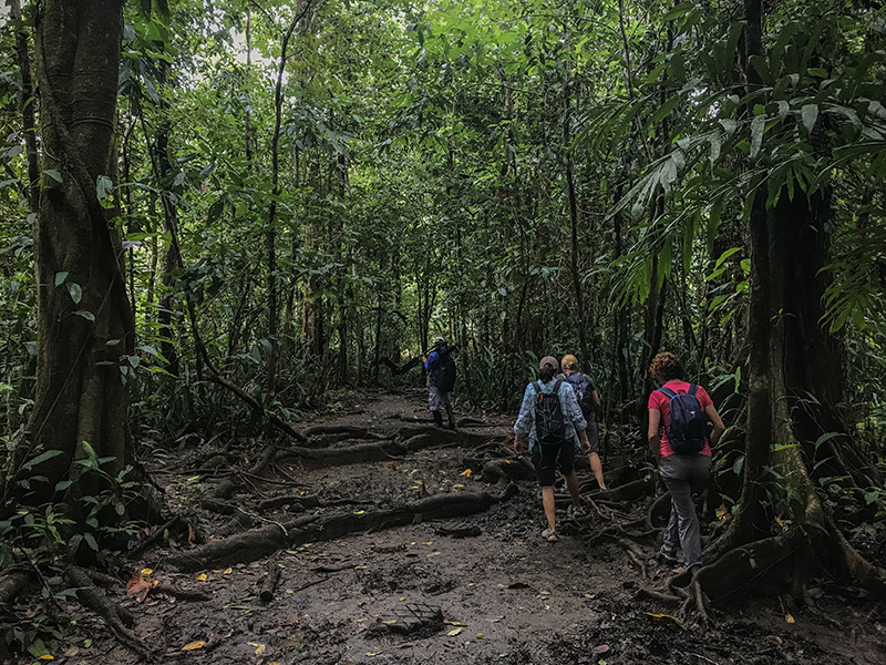 como visitarparque nacional corcovado de costa rica