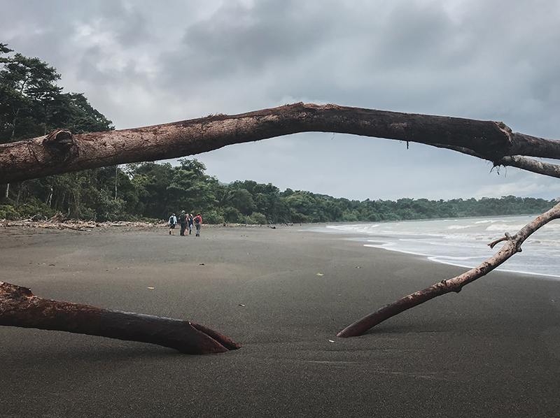 parque nacional corcovado de costa rica