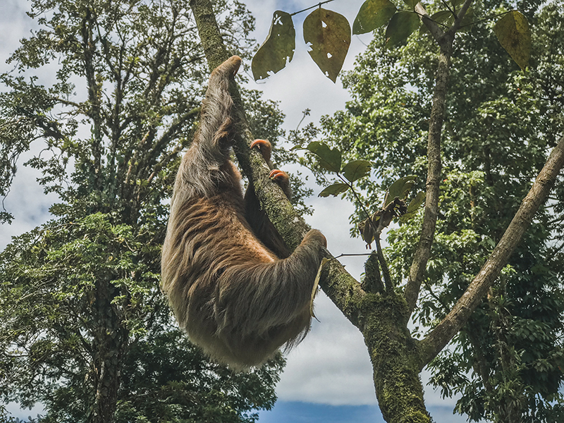 recorrer costa rica