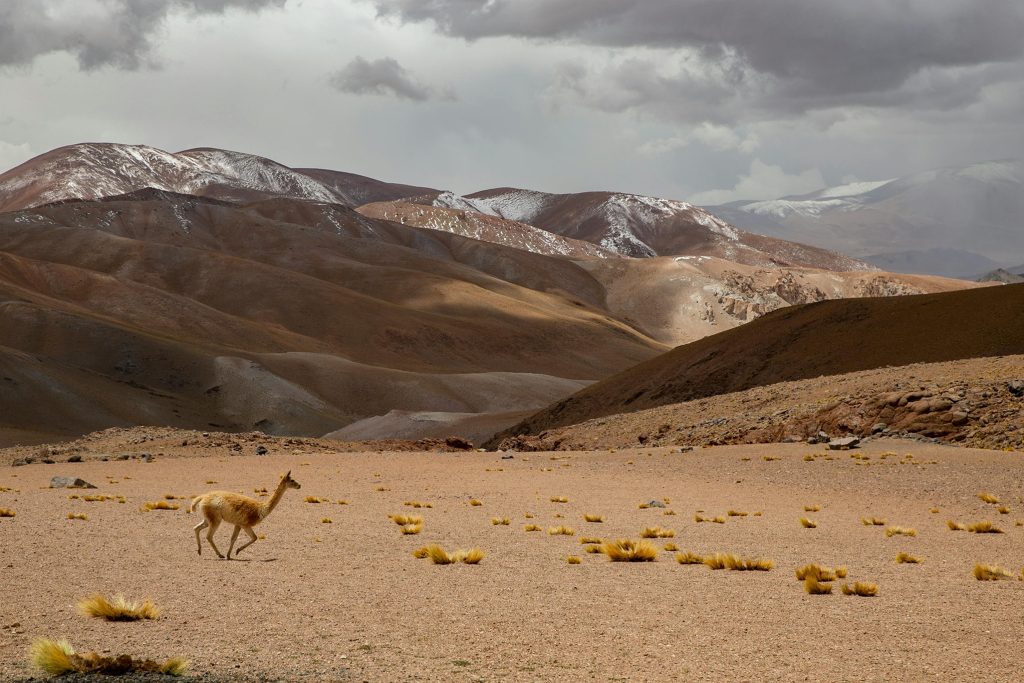 Lugares que ver cerca del Campo de Piedra Pómez de Antofagasta de la Sierra en Catamarca