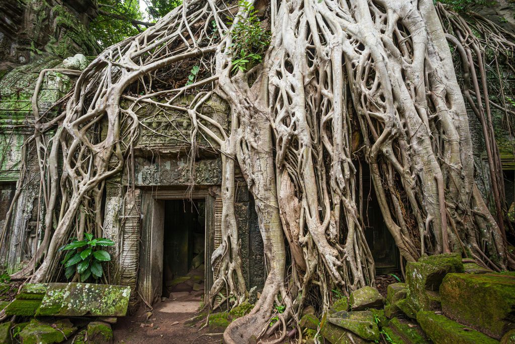 Cómo llegar a angkor wat