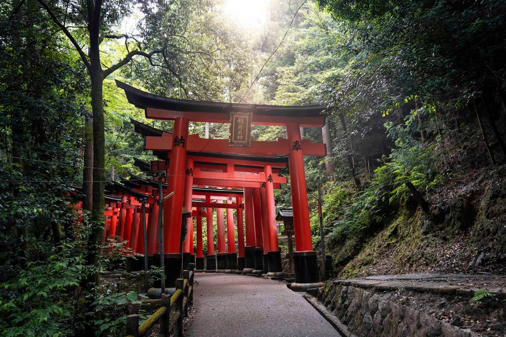 Toriis del santuario Fushimi Inari en Kioto