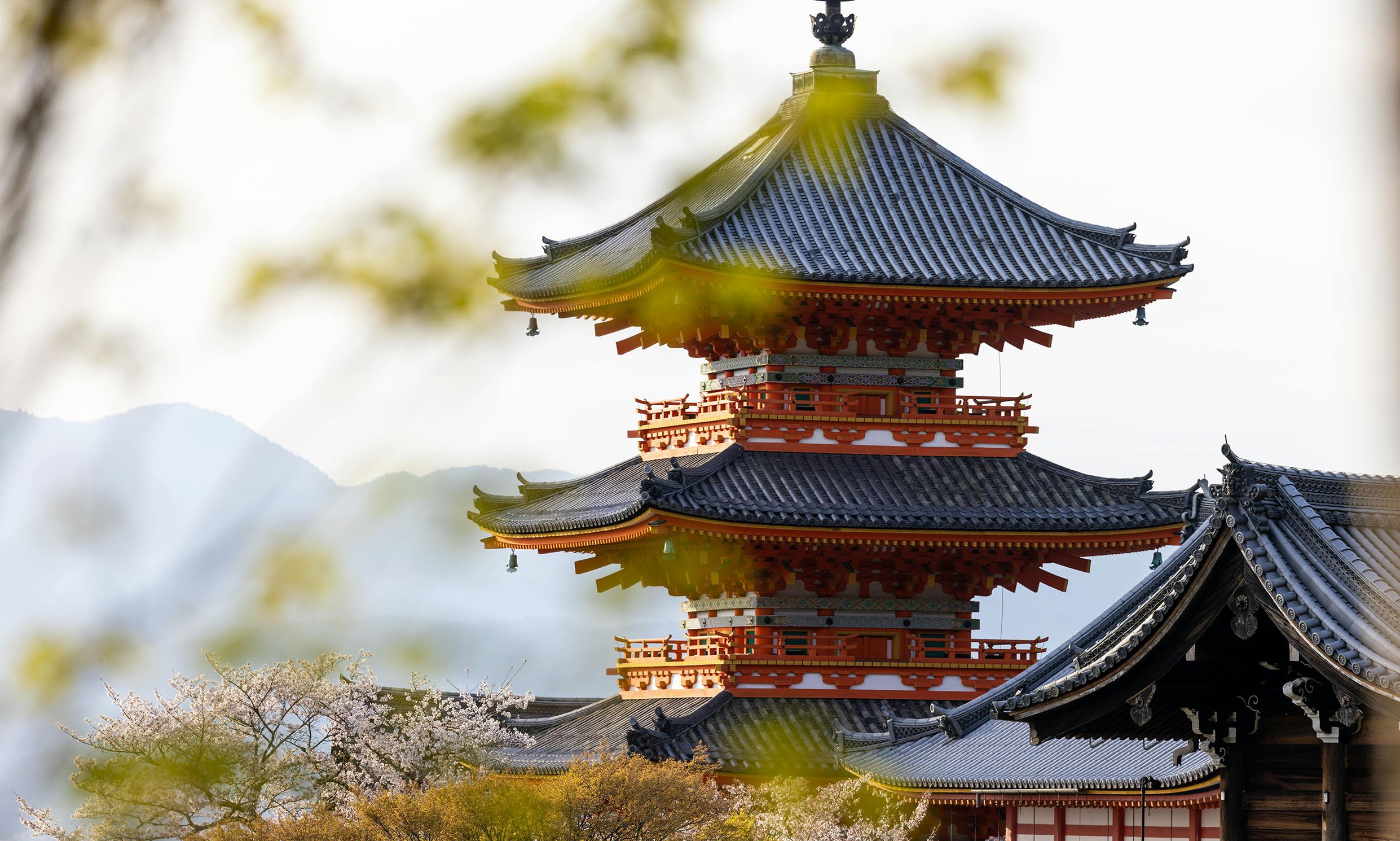 Lugares que ver en la ciudad de Kioto