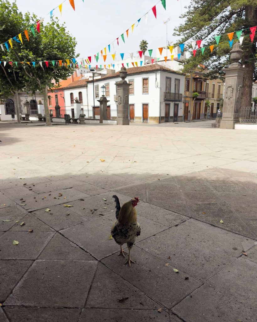 Sitios bonitos que ver en Gran Canaria