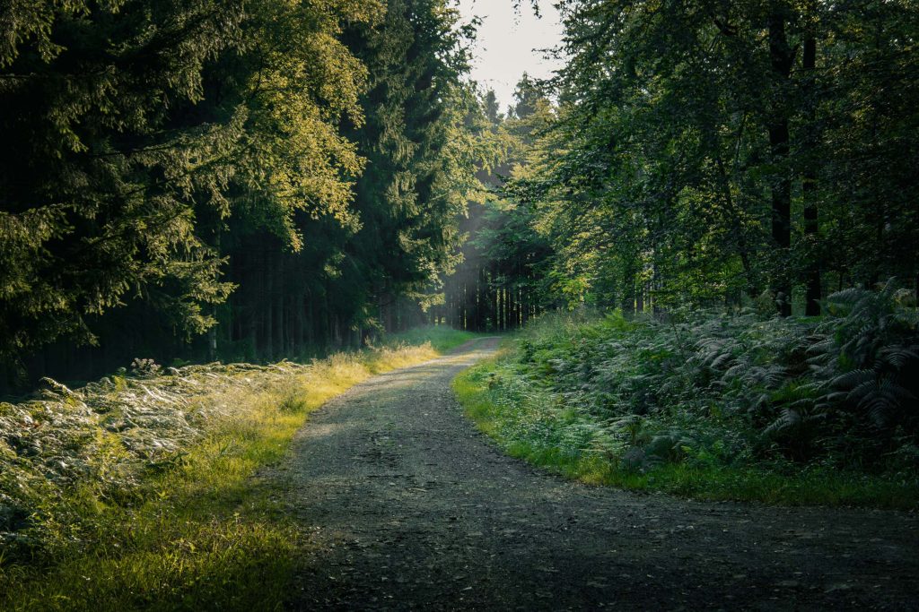 Qu&eacute; ver en B&eacute;lgica naturaleza