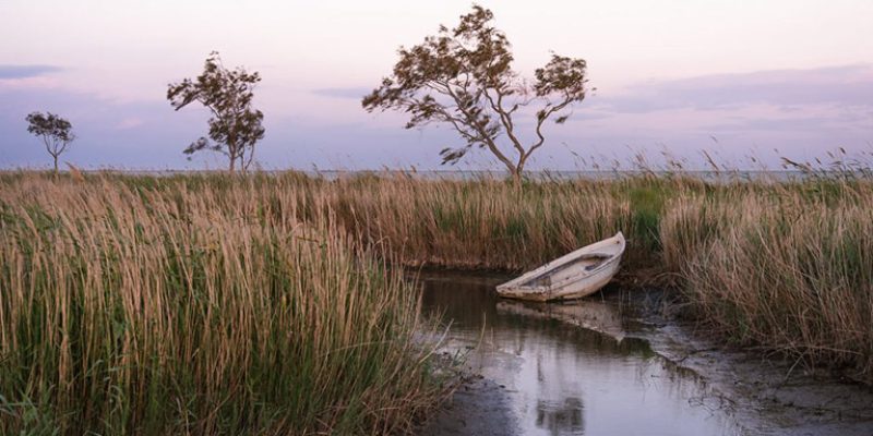Dos días en el delta del Ebro