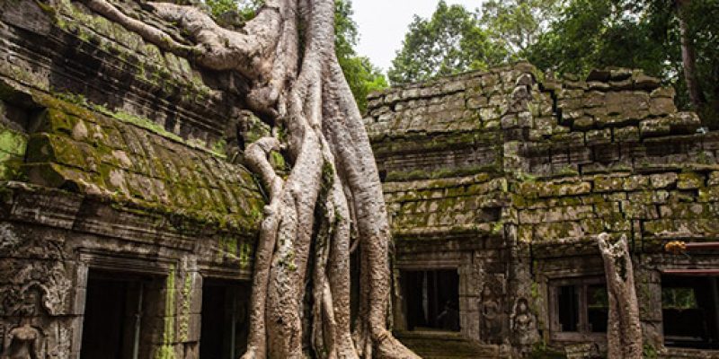 Angkor Wat: C&oacute;mo llegar