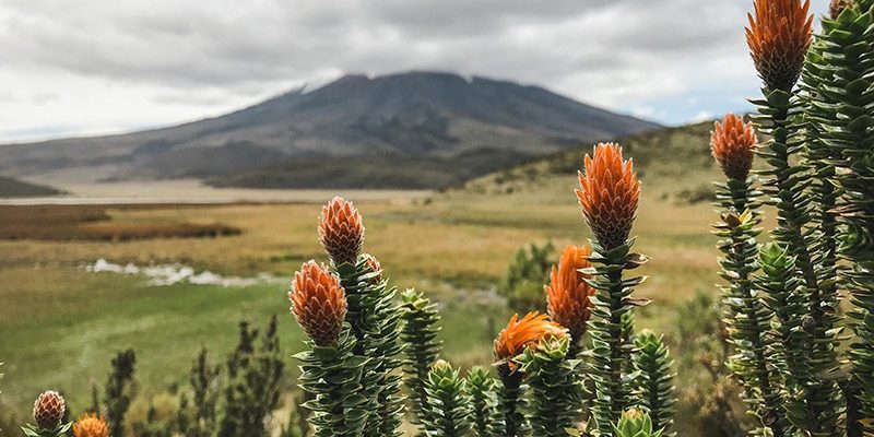 Itinerario de viaje a Ecuador en 20 días Qué ver en Ecuador en 20 días